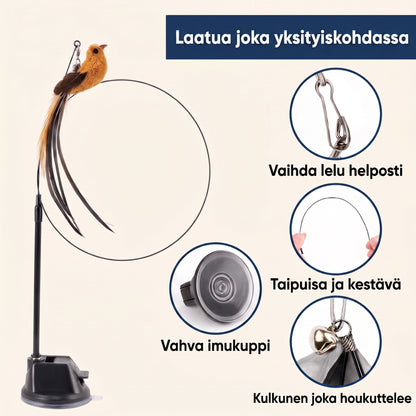 Zvarelo — Automaattinen lintukaari, joka herättää saalistusvaiston ja viihdyttää kissaa tuntikausia