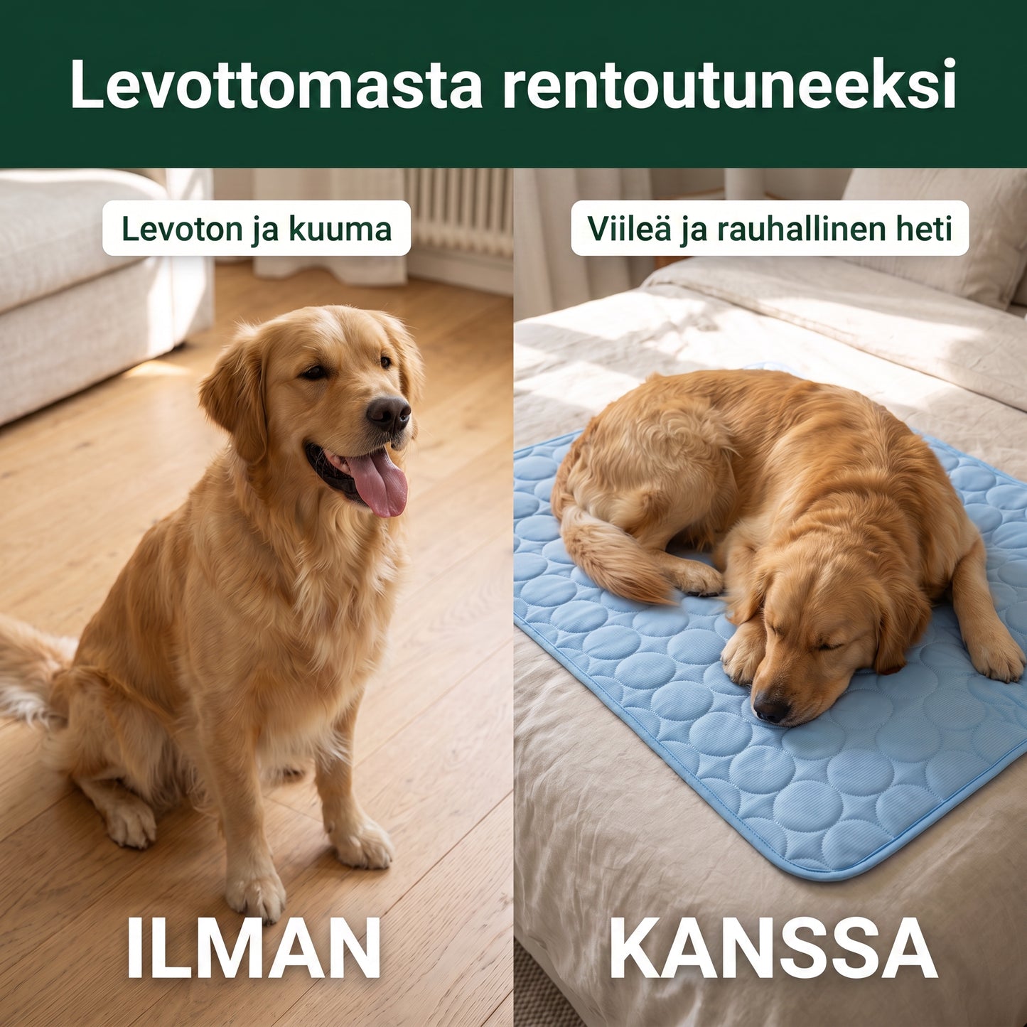Zvarelo — Viilennysmatto, joka pysäyttää koirasi ylikuumenemisen