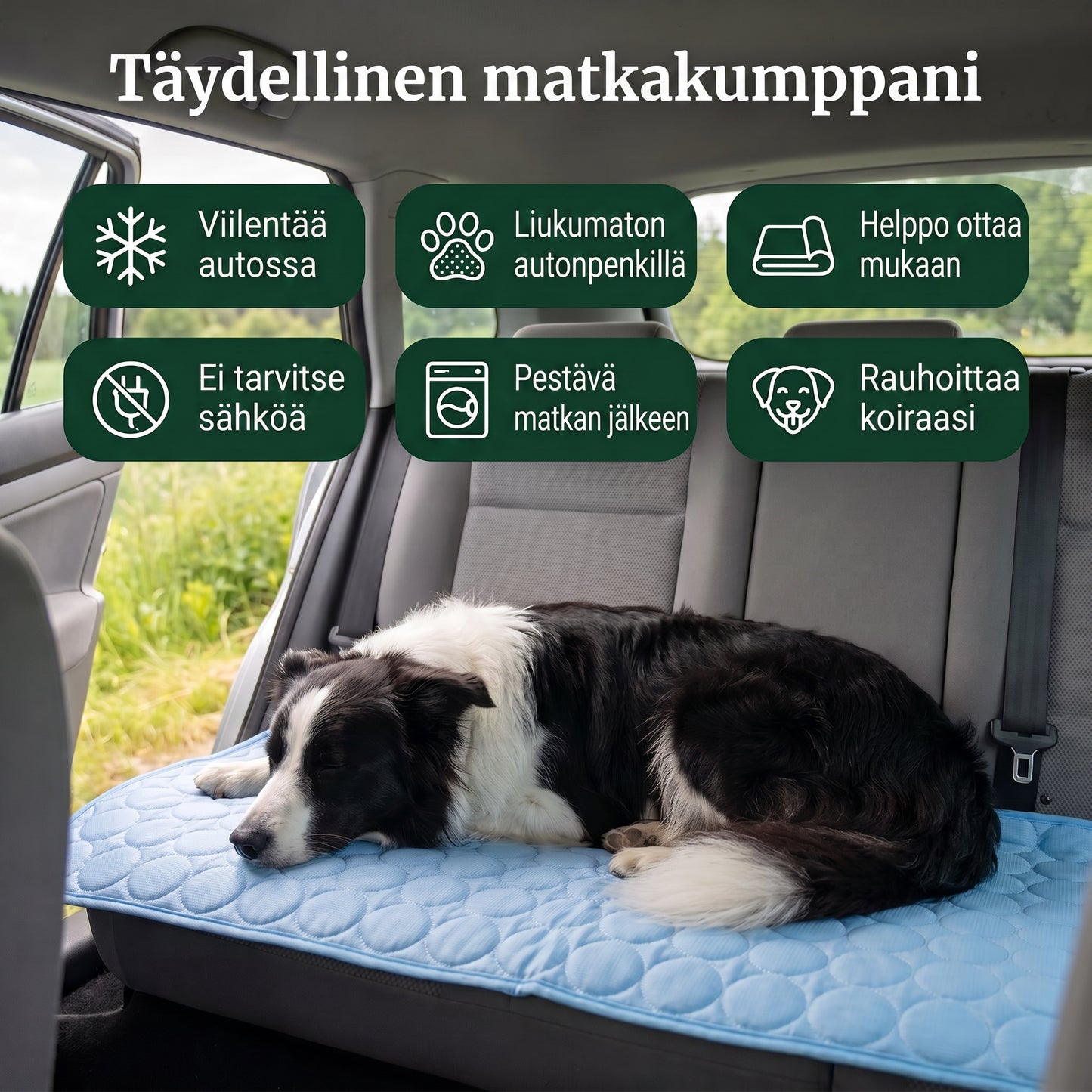 Zvarelo — Viilennysmatto, joka pysäyttää koirasi ylikuumenemisen