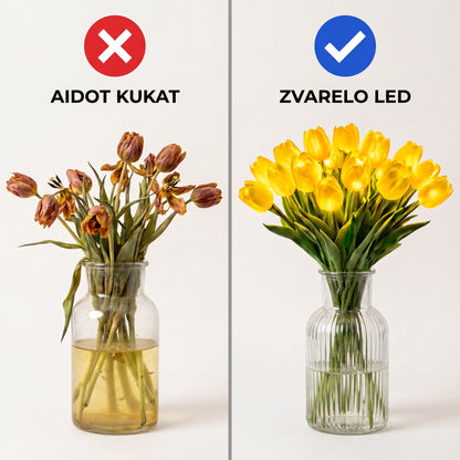 Zvarelo — LED-tulppaani, jonka lämmin valo ei koskaan lakastu